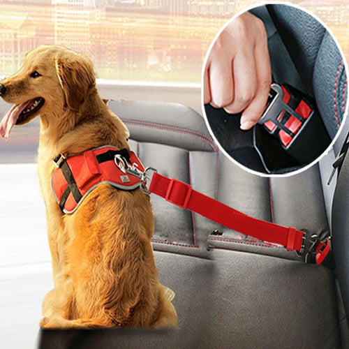 Cinturón de seguridad para arnés gato perro en colores. 70cm.