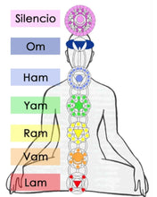 Cargar imagen en el visor de la galería, Colgante chakras, Collar de protección, 7 chakras, Yoga, Reiki, Meditación