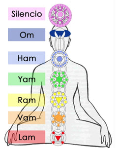 Colgante chakras, Collar de protección, 7 chakras, Yoga, Reiki, Meditación