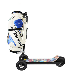 500w Scooter para Golf con soporte bolsa