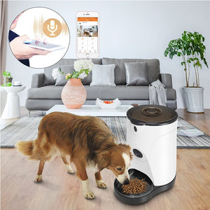 Dispensador automatico comida con video y control distancia para mascotas