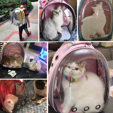Cargar imagen en el visor de la galería, Breathable Cat Carrier Bag Portable Pet Backpack Box Outdoor Travel Puppy Cats Carriers Cage Small Dog Handbag Space Capsule