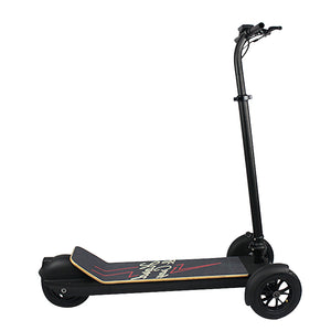 500w Powerful Three Wheel Golf Board Electric Scooter With Chart Bag Holder
