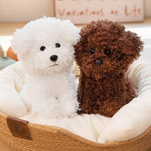 Cargar imagen en el visor de la galería, Perro de peluche blanco y marrón Kawaii, rizado. 20 y 30cm