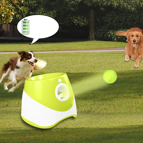 Catapulta de juego para perros, lanzador de pelotas de tenis, juguete para saltar