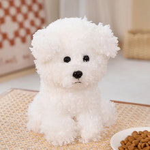 Cargar imagen en el visor de la galería, Perro de peluche blanco y marrón Kawaii, rizado. 20 y 30cm